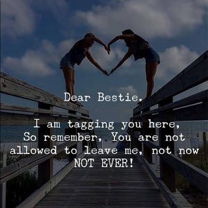 Meet your Posher, Reja